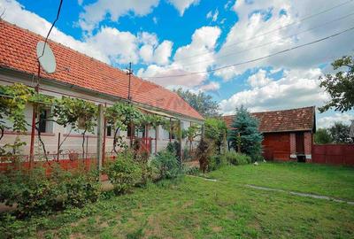 Casa cu 4 camere de vanzare ?i teren 4063 mp, in Ineu... - 15