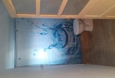 Vand casa batraneasca renovata, in Udupu Teleorman - 3