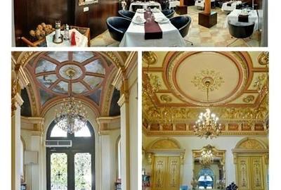 Vila somptuoasa - de inchiriat - Piata Romana - 2