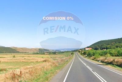 Teren Construcții intravilan de 9000 mp, în Gilău - 1