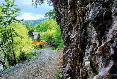 Casă cu Teren 4866 Mp în Central - 2