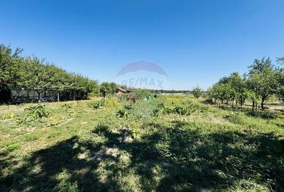 Teren Construcții intravilan de 6210 mp, în Apateu - 21