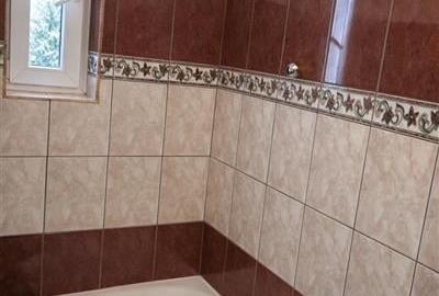 2 camere decomandate,mobilat,utilat,aer conditionat,2 balcoane, Cornisa,Targu Mu - 5