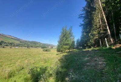 Teren de 5000 mp, în Gura Humorului - 17