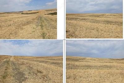 Teren Negureni, cota parte 1/8, ID: R2695094 - 7