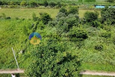 Teren intravilan com. Alexandru cel Bun- Viisoara - 6