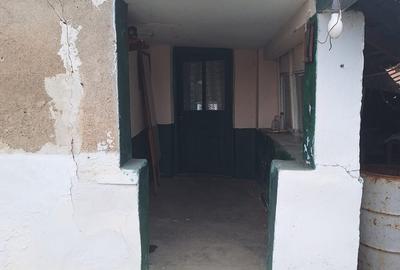 Vand casa teren 3000mp satul Gresia, Rosiorii de Vede, Teleorman - 4