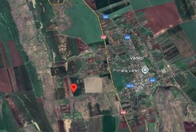 Teren de 6000 mp, în Vârlezi - 2
