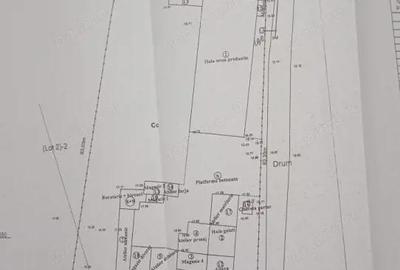 Teren de 8138 mp, în Periferie - 11