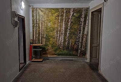 Apartament 2 camere Cismigiu - 2