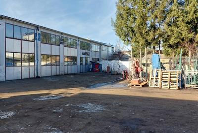 Hala industriala de inchiriat pe Calea Bucuresti folosinta multipla - 3