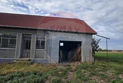 Casă individuală cu 3 camere cu Teren 7290 Mp în Socodor - 23