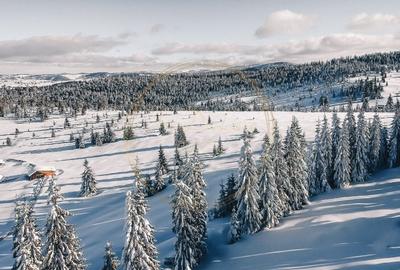 Teren intravilan, cu PUZ+CU de construire, Marisel, la 500m de partie - 10