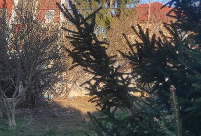 Proprietar vand casa zona Balcescu - 1