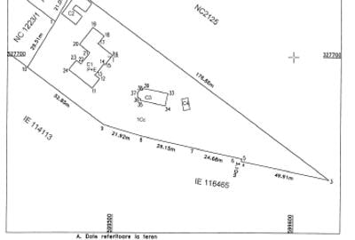 Proprietate deosebită, șos. Cernica (în apropierea mănăstirii Cernica) - 10