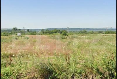 Teren Construcții extravilan de 2373 mp, în Exterior Sud - 1