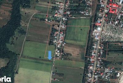 Teren de 2547 mp, în Vălenii de Munte - 5