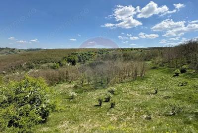 Teren de 659000 mp, în Copșa Mică - 8