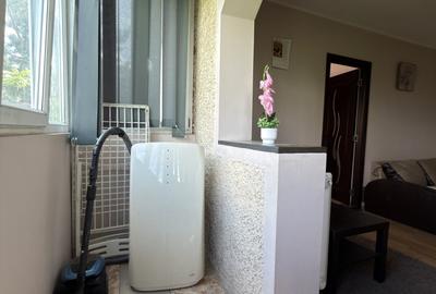 Apartament cu 3 camere nedecomandat, mobilat în Dacia - 12