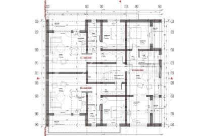 AX1129 Mosnita Noua,4 Parcele (2 cu autorizatie) - 2