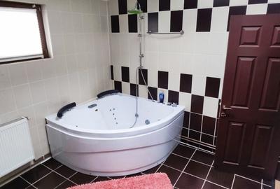 Apartament spatios- 5 camere, 130 mp - Vasile Aaron - 10