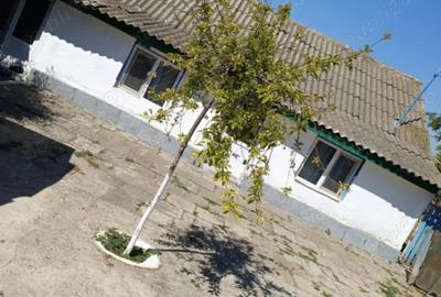 Casa de vanzare in comuna Mihai Bravu, jude?ul Tulcea