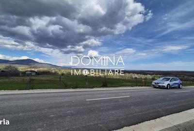 Teren de 2500 mp, în Runcu - 6