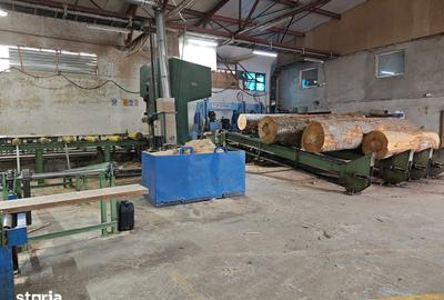 Spațiu comercial, de 43,000 mp, în Voila - 18