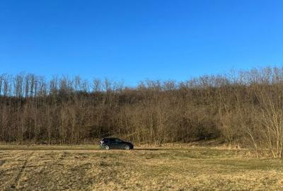 Spațiu comercial, în Cristian - 1