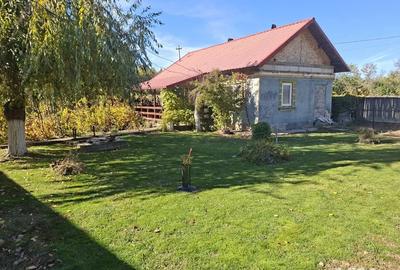 Casa cu teren 3.000 mp vie, livada, utilita?i, acte in regula! - 1