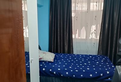 Valea Argesului 3 camere- Strada Parva - 1