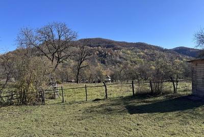 Spațiu comercial, în Uleni - 5