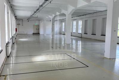 Hală industrială de închiriat în Cisnădie, județul Sibiu - 14