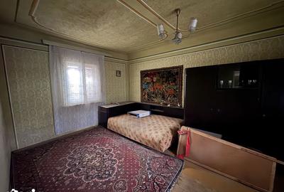 Casă cu 4 camere cu Teren 3767 Mp în Borș - 5