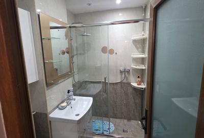 Apartament cu 2 camere decomandat în Central - 5