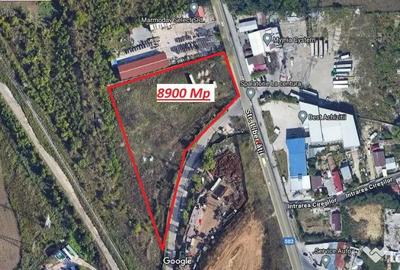 Teren de 8900 mp, în Glina - 2