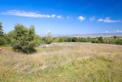 Teren de vanzare, Cristian - 1