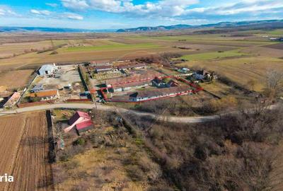 Spațiu comercial, de 820 mp, în Girișu de Criș - 7