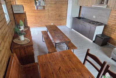 VILA SUPERBA AFACERE LA CHEIE COSTINESTI - 28