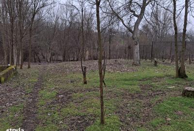 Casă cu 4 camere în Preajba - 12