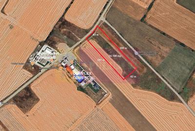 Teren agricol extravilan de 24108 mp, în Sud-Vest - 1