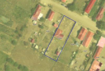 Casa si teren-Ciupercenii Noi, jud Dolj; - 1