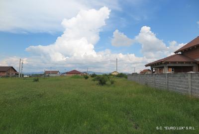 Teren de 500 mp, în Cicir - 5