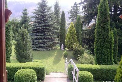 Teren de 1747 mp, în Piatra Arsă - 9
