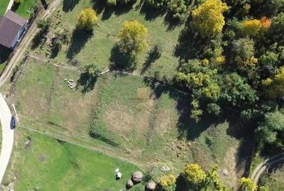 Teren de 3500 mp, în Cacica - 5