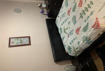 Inchiriez apartament cu doua camere pe Str Doamna Stanca,vizavi de Dedeman. - 8