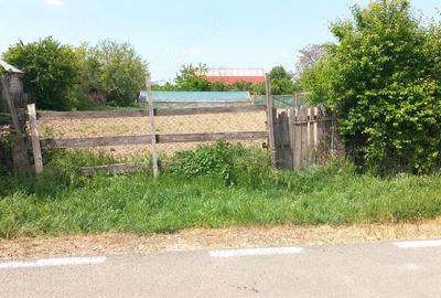Teren de 1000 mp, în Nămoloasa - 6