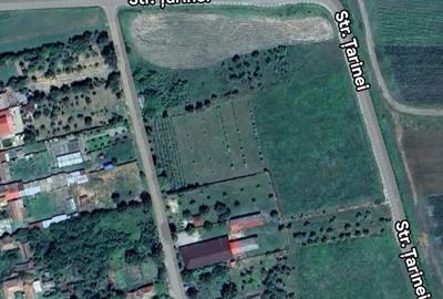 Teren de 1500 mp, în Hotărani - 2
