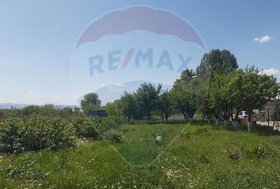 Casă cu 5 camere cu Teren 1000 Mp în Terezian - 3