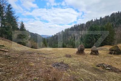 Teren în Scărișoara - 4